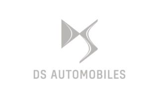 ds web-20